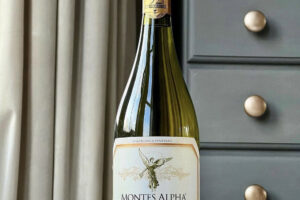 Tuyển tập rượu vang Chile Montes Alpha