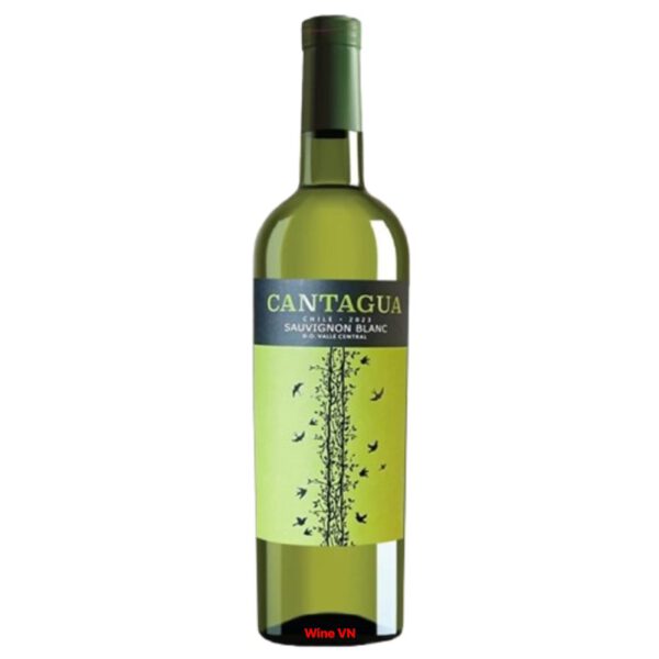 Rượu Vang trắng Chile Cantagua