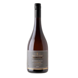 Vang Chile Coastal Mist Sauvignon Blanc